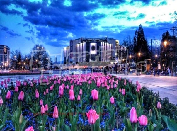 Център/Centar, София, Sofia City Province