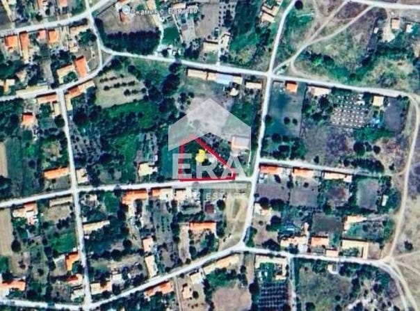 с. Баячево/s. Baiachevo, Търговище, Targovishte Province