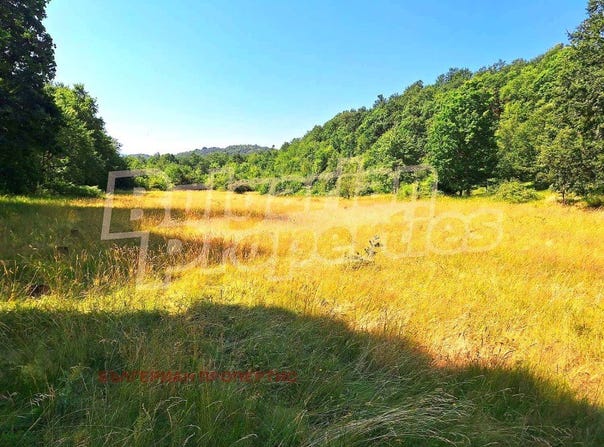 с. Хъневци/s. Hanevci, Велико Търново, Veliko Tarnovo Province