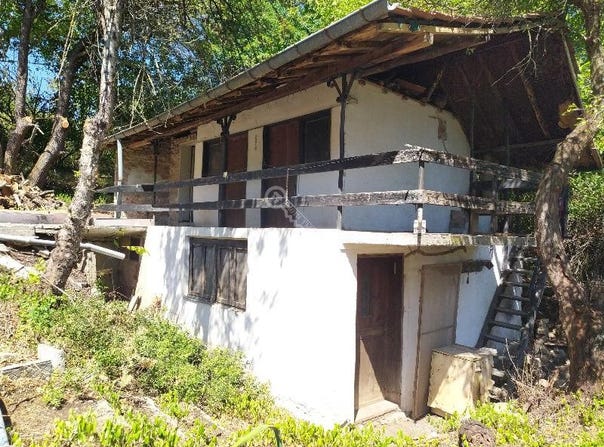 м-т Козлуджа/m-t Kozludja, Велико Търново, Veliko Tarnovo Province