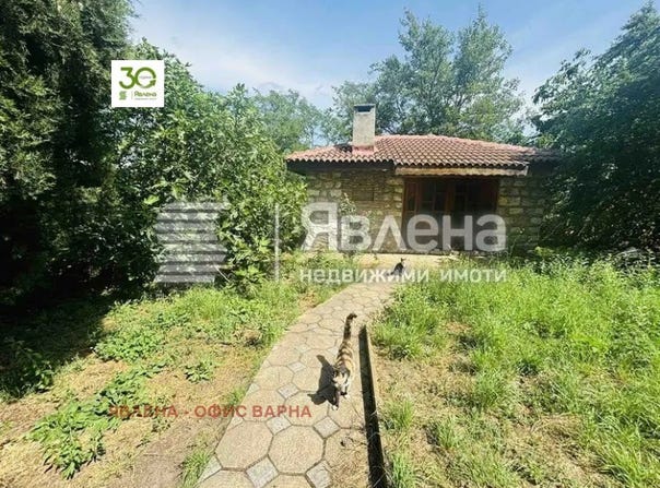 с. Звездица/s. Zvezdica, Варна, Varna 9103