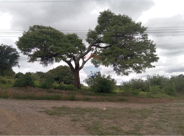 03 e 04 Rua Um, Salto de Pirapora, São Paulo 18160000