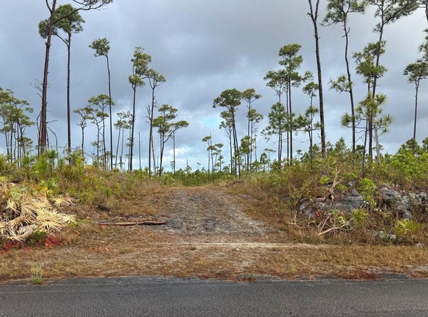 CHESAPEAKE LOT 24, Grand Bahama/Freeport, 