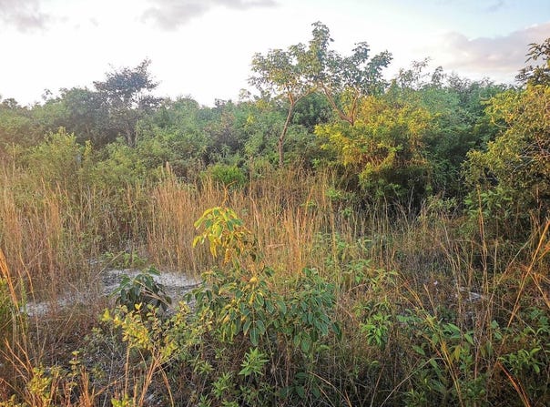 9 ACRE LOT OFF CARMICHAEL RD, New Providence/Paradise Island, 