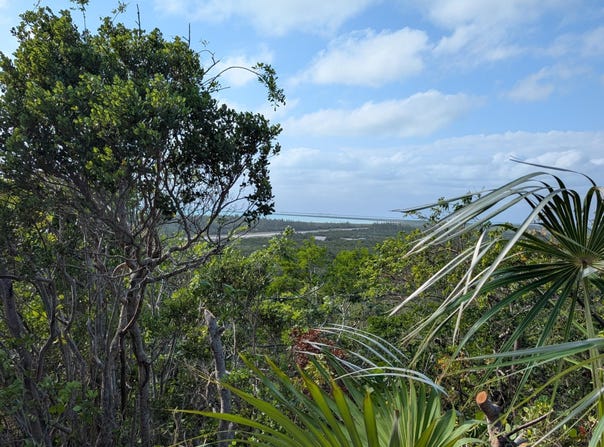56 HILL VIEW DRIVE, Stella Maris, Long Island