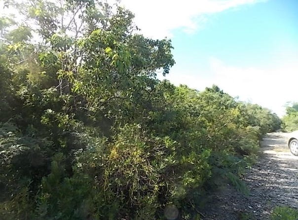 Unnamed Road, Stella Maris, Long Island