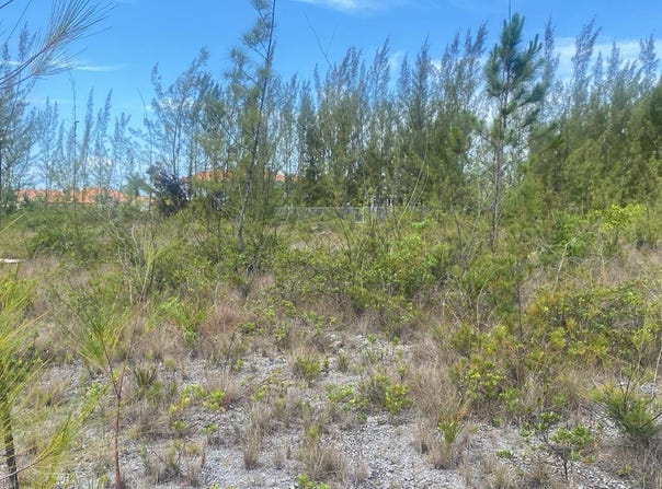 PARCEL B CORAL HARBOR, New Providence/Paradise Island, 