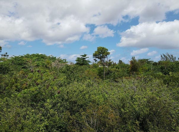 LOT 2, SAN SALVADOR, San Salvador, 