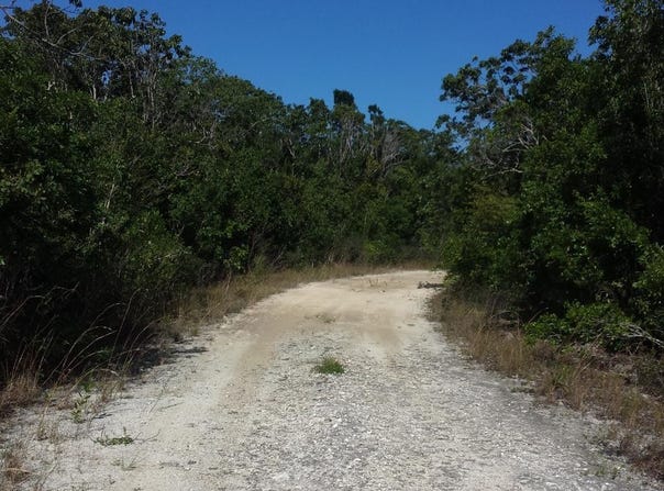 QUEENS HIGHWAY IN DUMFRIE, Cat Island, Cat Island