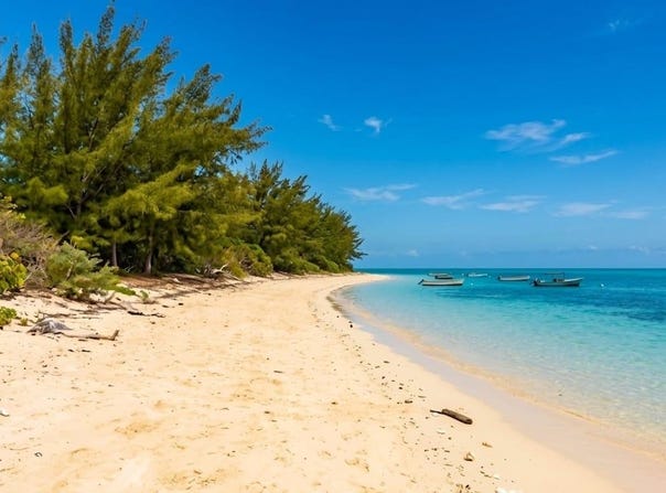 BEACHFRONT MANGROVE CAY, Andros, Andros