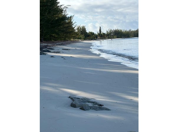 5 ACRES IN SANDY POINT, A, Abaco, Abaco