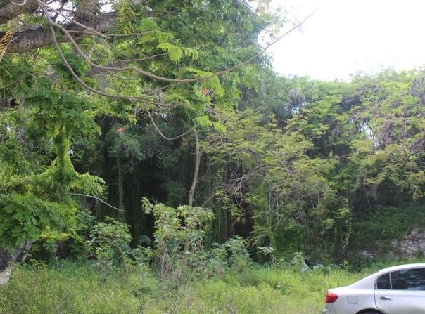 MINNS TOWN FORT FINCASTLE, New Providence/Paradise Island, 