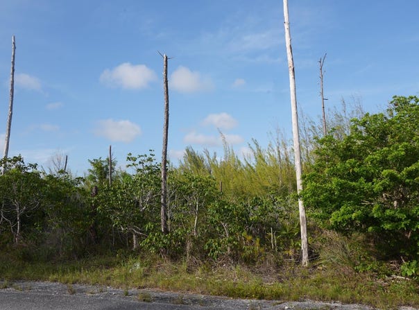 LOT 18 BLOCK 53 unit: 2, Grand Bahama/Freeport, 