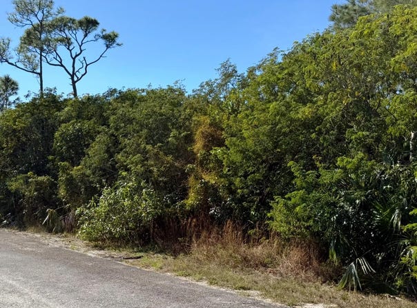 DUNDAS TOWN LOT, Abaco, 