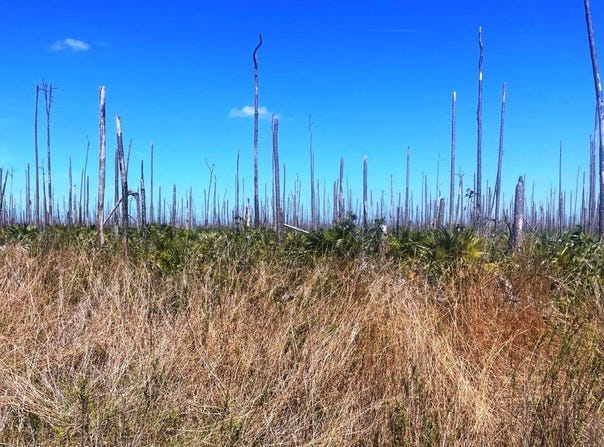 LOT 17 LUCAYA ESTATES unit: 15, Grand Bahama/Freeport, 