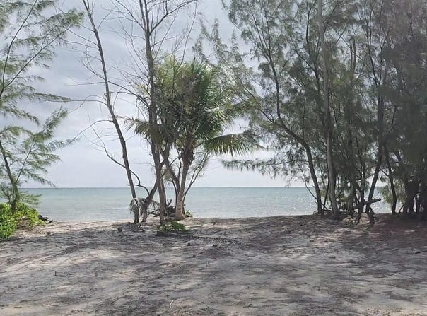 MANGROVE CAY, Andros, Andros