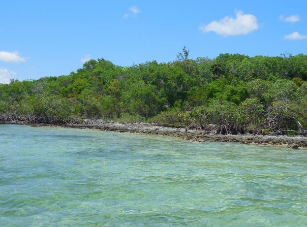 NEAR CASUARINA POINT, Abaco, Abaco