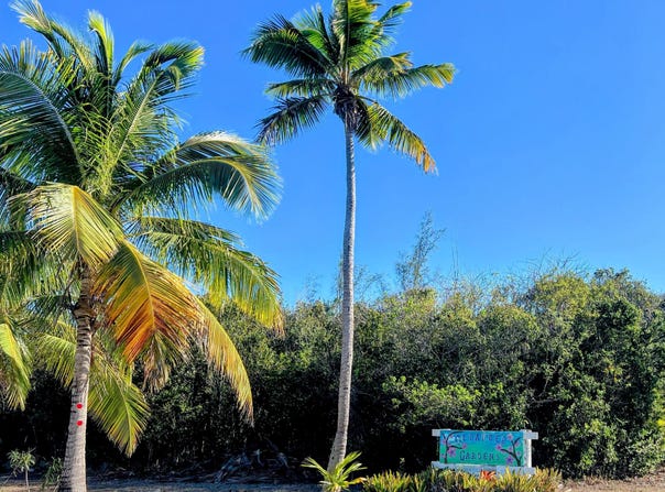 OLEANDER DRIVE, Eleuthera, 