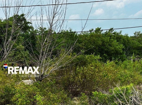 Lagoon Road, North Caye Caulker, Caye Caulker, Belize District, Caye Caulker, Belize District