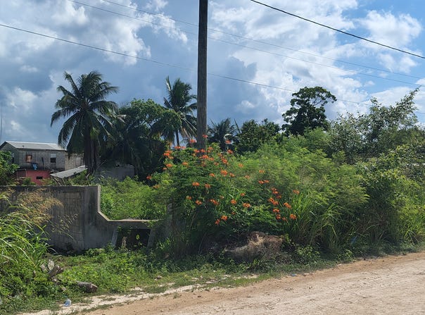 Corozal Town, Corozal