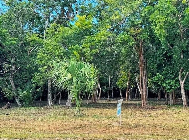 Consejo Beach Trail, Corozal District, Corozal District