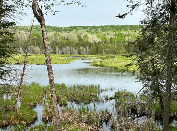 Ch. Léonard, Kiamika, Quebec J0W1G0