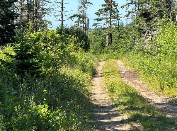 Old Post Road Lot 1, Lake Midway, Nova Scotia B0V 1A0