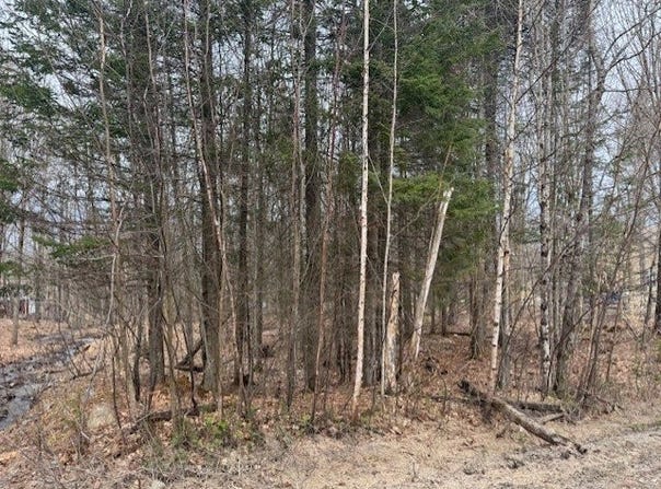 Ch. Maurice-Brunet, Mont-Laurier, QC J9L3G5, CA, Mont-Laurier, Quebec J9L3G5