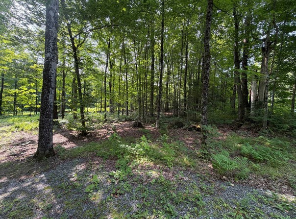 Ch. du Pipeline, Potton, Quebec J0E1X0