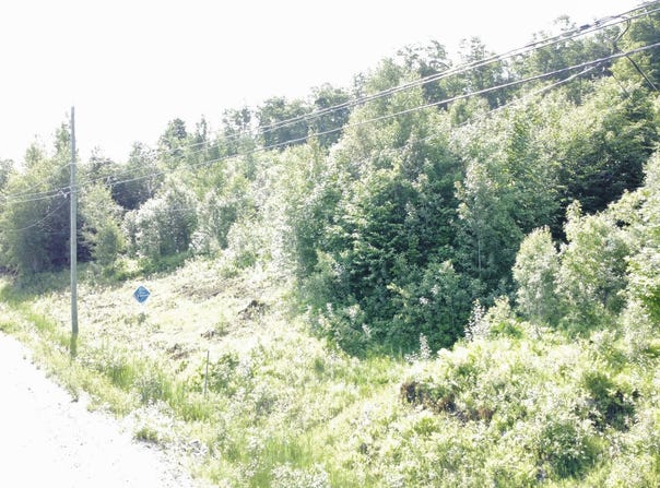 Ch. Pierrot, Mont-Laurier, Quebec J9L3G5