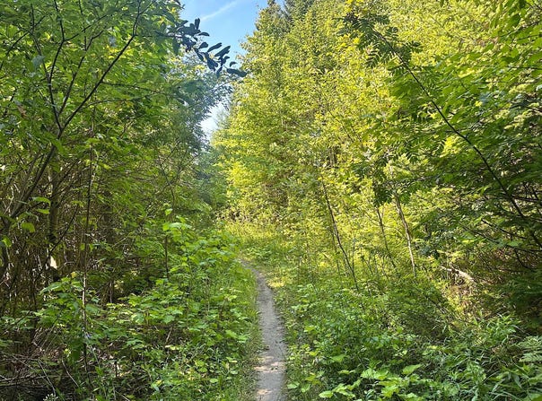 Rue de la Seigneurie, Beaupré, QC G0A1E0, CA, Beaupré, Quebec G0A1E0