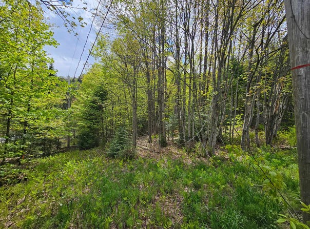Mtée Rosa, Sainte-Agathe-des-Monts, QC J8C0T6, CA, Sainte-Agathe-des-Monts, Quebec J8C0T6