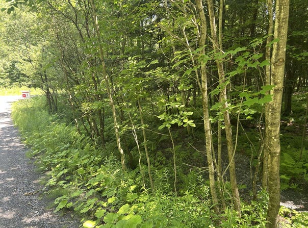 Rue Owl, Lac-Brome, QC J0E1V0, CA, Lac-Brome, Quebec J0E1V0