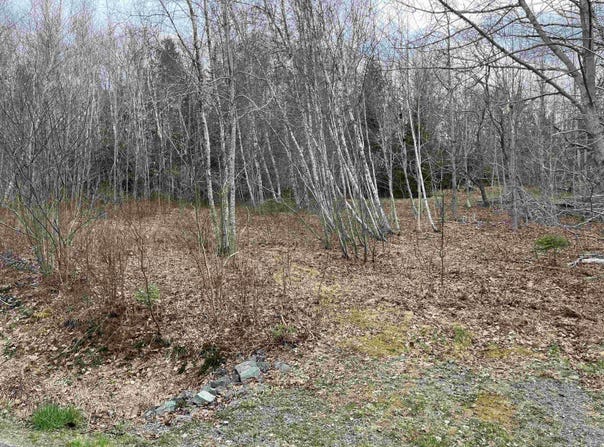 Sarty Road Lot 2, Camperdown, Nova Scotia B4V 0X6