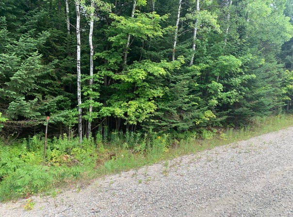 Rue Théophile-Ouimet, Lac-des-Écorces, QC J0W1H0, CA, Lac-des-Écorces, Quebec J0W1H0