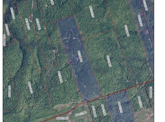Flatlands, Flatlands, New Brunswick