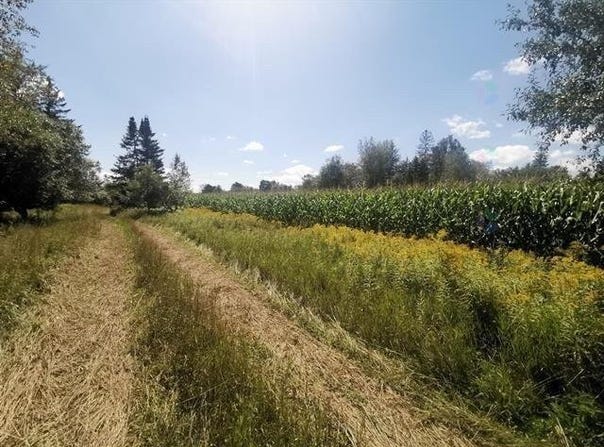Route 243, Racine, Quebec J0E1Y0