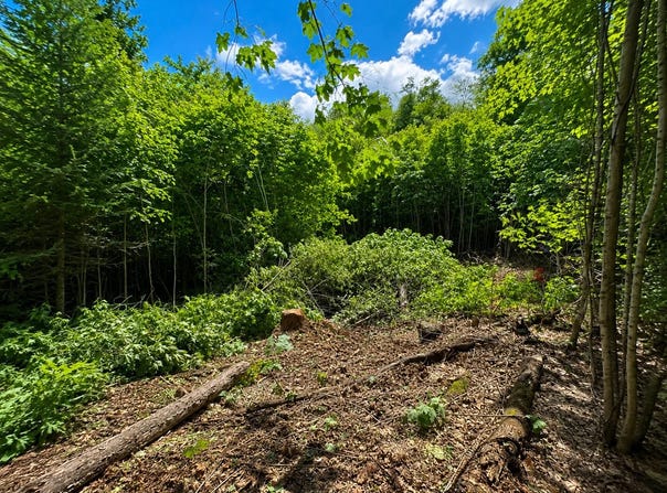 Ch. de l'Altitude, Saint-Côme, Quebec J0K2B0