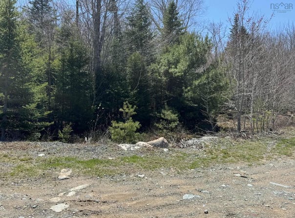 Kill Dog Cove Road Lot R-9, Parkdale, Nova Scotia B0R 1A0