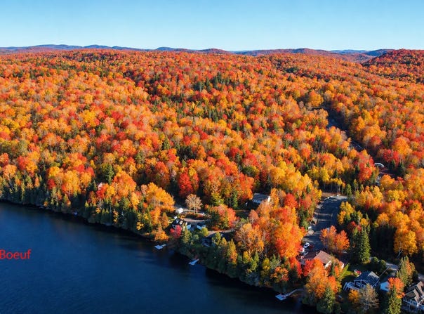 Ch. du Lac-Boeuf, Saint-Donat, Quebec J0T2C0