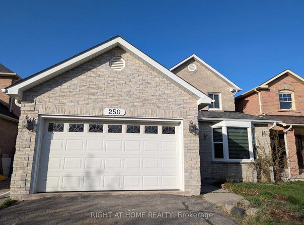 Basemen - 250 Harrowsmith Drive, Mississauga, Ontario L5R1R2