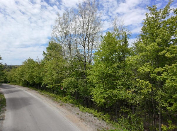 Rue du Mont-Rainer, Sainte-Agathe-des-Monts, QC J8C0V6, CA, Sainte-Agathe-des-Monts, Quebec J8C0V6