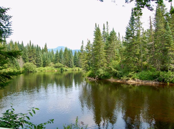 Ch. du Mont-la-Tuque, Lac-Supérieur, QC J0T1P0, CA, Lac-Supérieur, Quebec J0T1P0