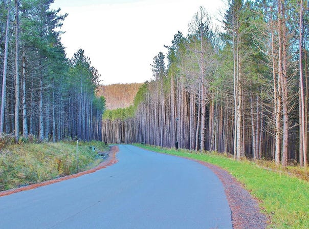 Ch. des Basques, Saint-Sauveur, QC J0R1R7, CA, Saint-Sauveur, Quebec J0R1R7