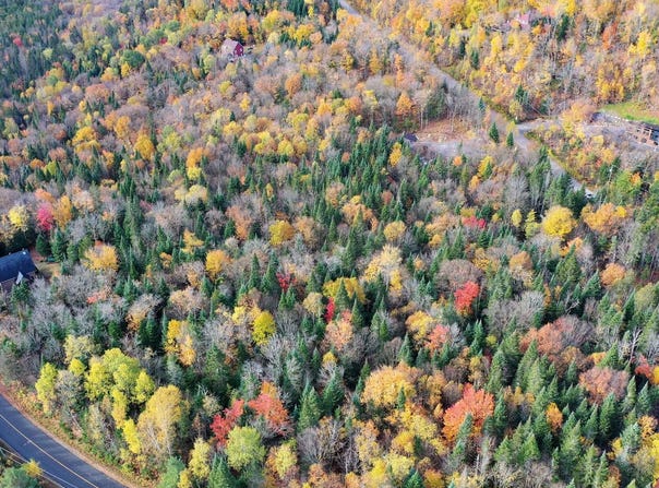 Ch. Adélard, Lac-Supérieur, Quebec J0T1J0