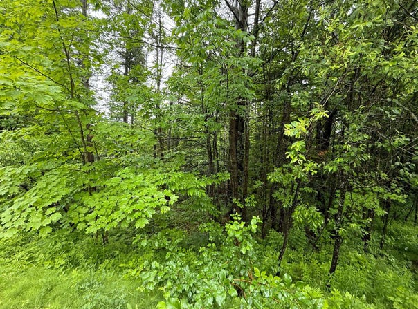 Rue du Zéphyr, Orford, Quebec J1X7H3