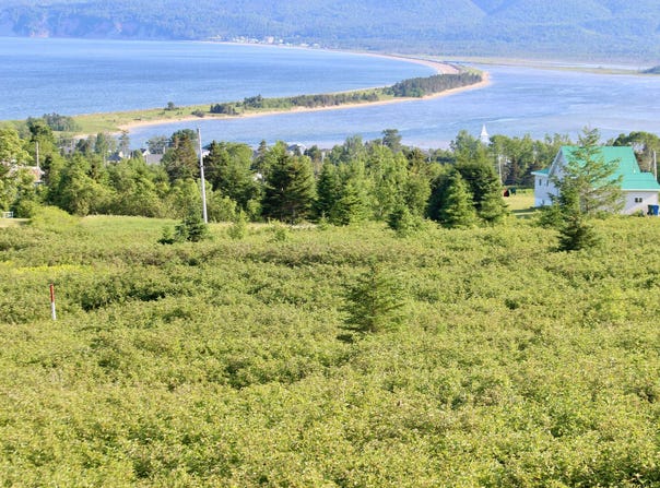 1 Route Blondin, Percé, QC G0C1A0, CA, Percé, Quebec G0C1A0