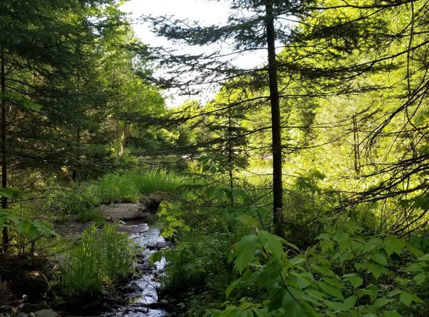 Route 329, Gore, Ontario J0V1K0