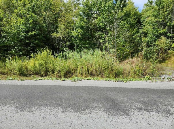 51 Rue Monette, Saint-Hippolyte, Quebec J8A0G1