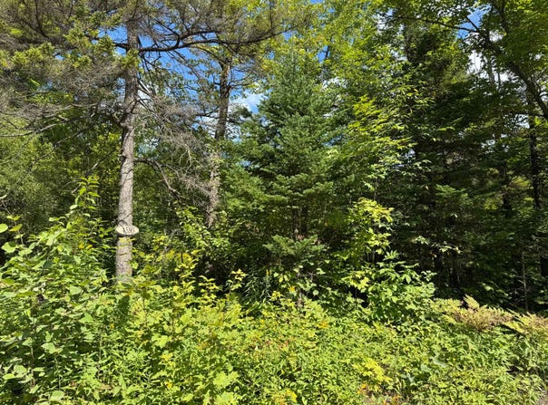 Mtée des Laurentides, Saint-Barthélemy, Quebec J0K1K0